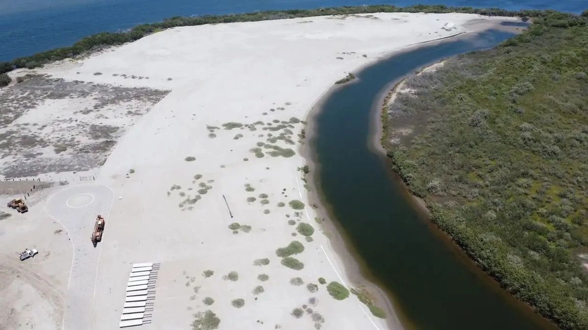 Aspecto de un área de manglares devastada con la finalidad de construir un fraccionamiento de la empresa Housesin, en la costa del municipio de Navolato, Sinaloa. Foto 