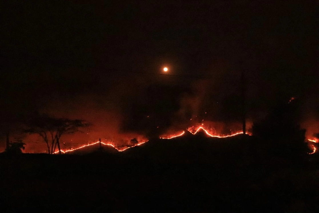El incendio forestal en la sierra Pajaritos lleva activo una semana. Foto cortesía Michel Maldonado
