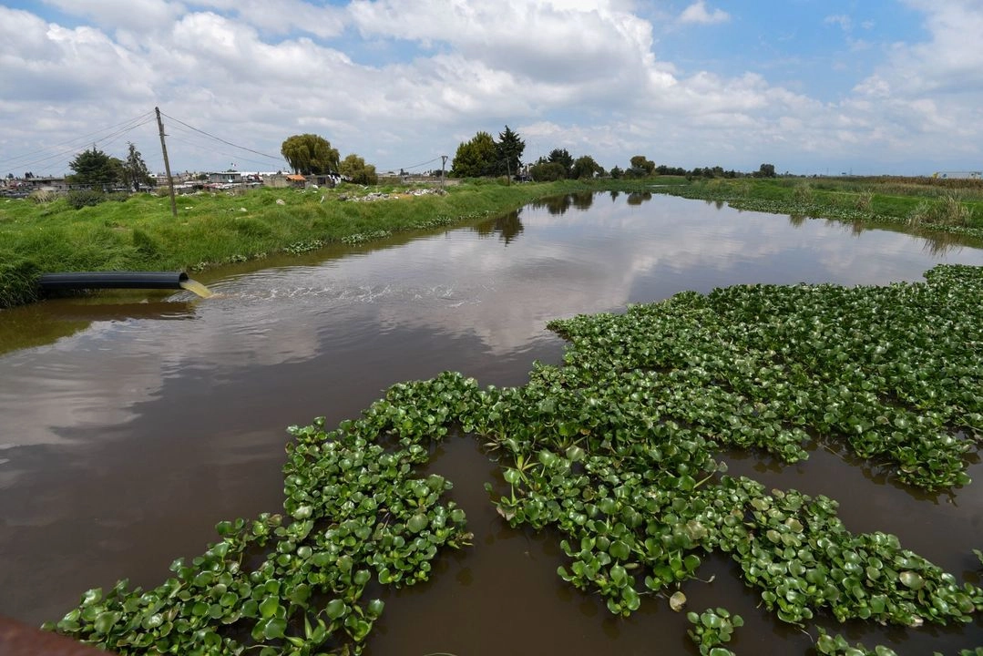 En el Día Mundial del Agua, pueblos originarios y ambientalistas demandaron poner fin al acaparamiento y la violación sistemática de los derechos al agua de pueblos indígenas. Foto 