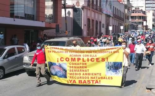 Unas 200 personas marcharon ayer por las calles de Chilpancingo, Guerrero, para exigir que se detenga la tala indiscriminada de árboles en el poblado de Chicahuales, municipio de Heliodoro Castillo.Foto Sergio Ocampo