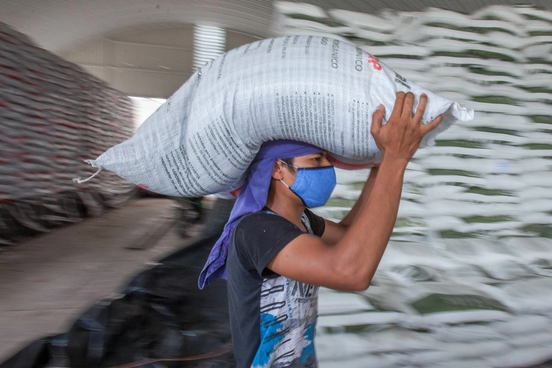 Sader informó que la importación de fertilizante aprecios competitivos aumentará la productividad agroalimentario de México. Foto  Cuartoscuro / Archivo