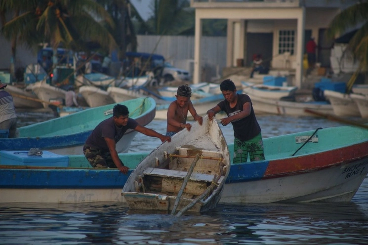 Los objetivos generales de este plan, que sustituye al de 2012, son evaluar la biomasa, conservar el rendimiento y el beneficio económico, reducir los impactos de las interacciones ambientales, promover beneficios económicos para la sociedad y asegurar la calidad de los productos pesqueros. Foto Cuartoscuro / Archivo 