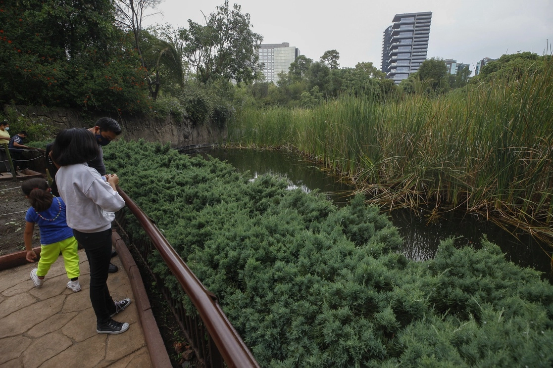 Con la finalidad de rescatar los acuíferos y recargar los mantos freáticos, el plan prevé la depuración de aguas negras. Foto Víctor Camacho



