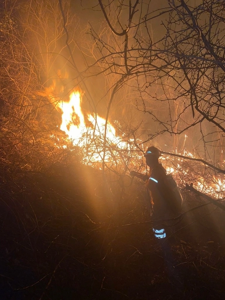 El incendio en Chicomuselo, Chiapas, ha afectado a las localidades de Nuevo Morelia, San Francisco, Las Palmas, El Rosario y Las Brisas. Foto Tomada de X @pcivilchiapas / Archivo
