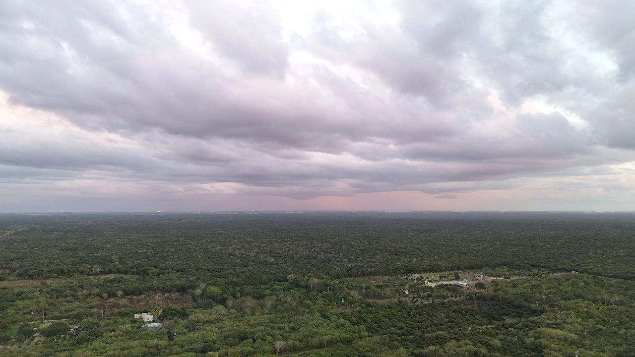 Aspectos de las zonas naturales entre Ucú y Hunucmá en Yucatán. Foto