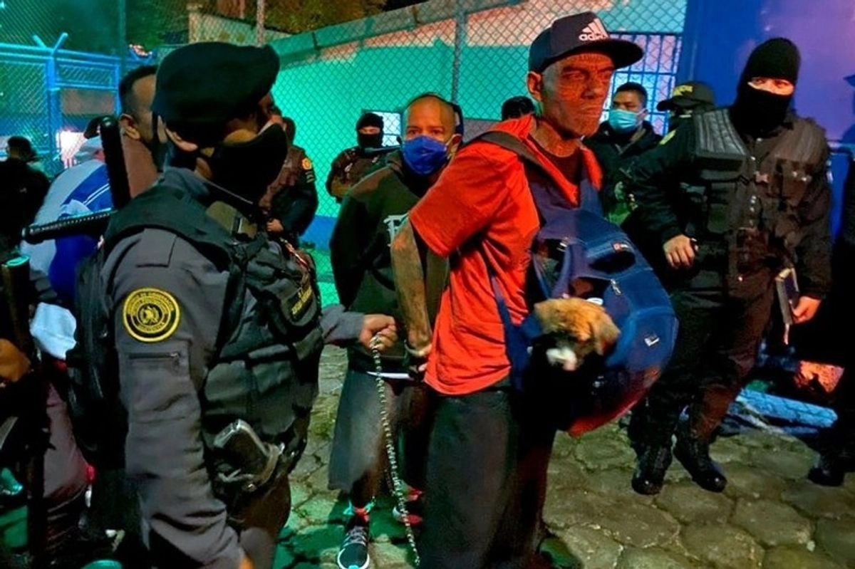 El ministro de Gobernación, Francisco Jiménez, confirmó este sábado que la policía ha "retomado" el control de ambos penales, según la estatal Agencia Guatemalteca de Noticias.
