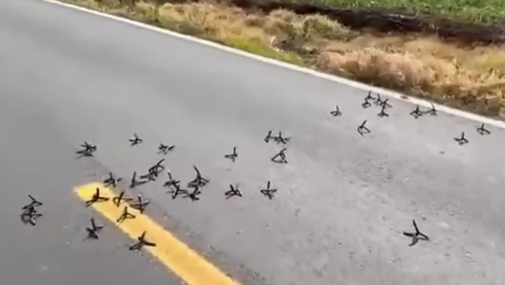 Tras la respuesta de los policía municipales de Tinguindín, Michoacán, el grupo armado dejó ponchallantas en la carretera para poder escapar. Foto 