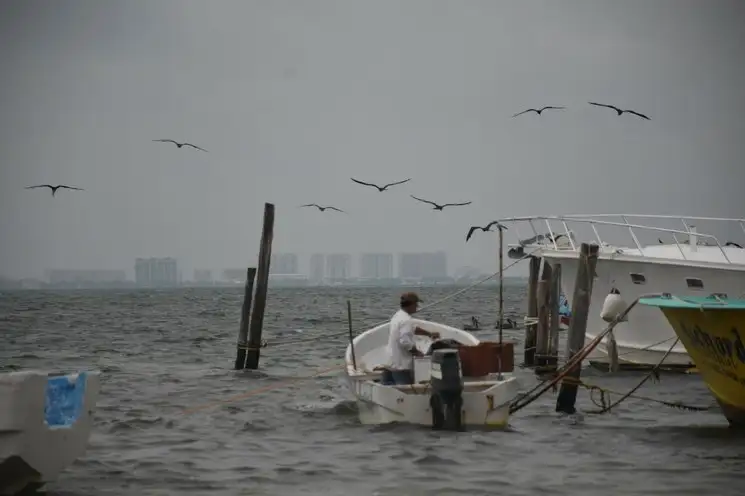 A lo lejos se ven los edificios cubiertos por la densa nube de polvo en Playa del Carmen. Foto Elizabeth Ruiz