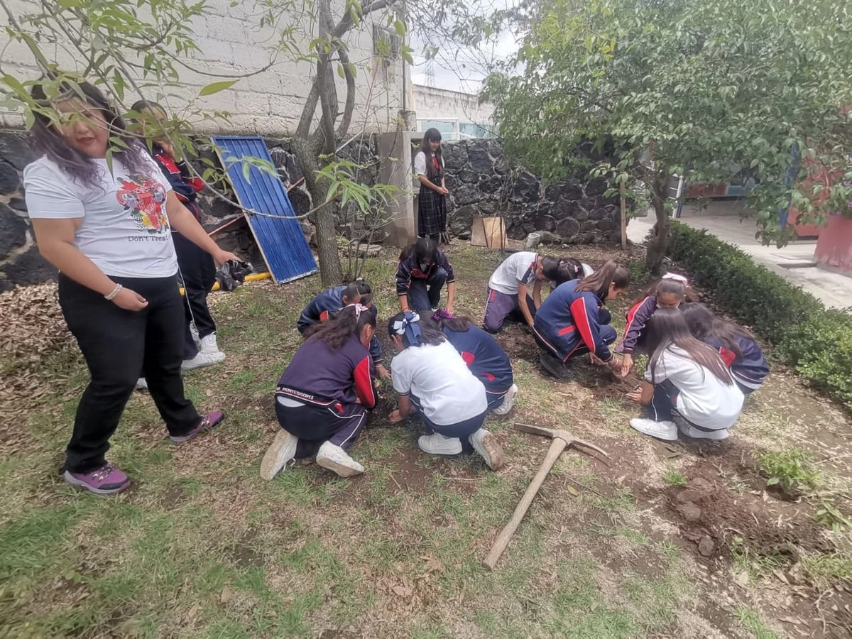 Son parcelas escolares, donde se cultivan plantas como muicle, diente de león, manzanilla, ruda, romero, orégano, cempasúchil y ajenjo, cuyas propiedades sirven para mitigar los dolores menstruales. Foto