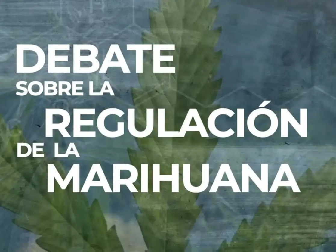 El ex candidato presidencial del PAN, Ricardo Anaya, señaló que las personas deben estar en el centro del debate sobre la regulación del uso de la mariguana. Imagen tomada del video difundido a través del Twitter de @RicardoAnayaC