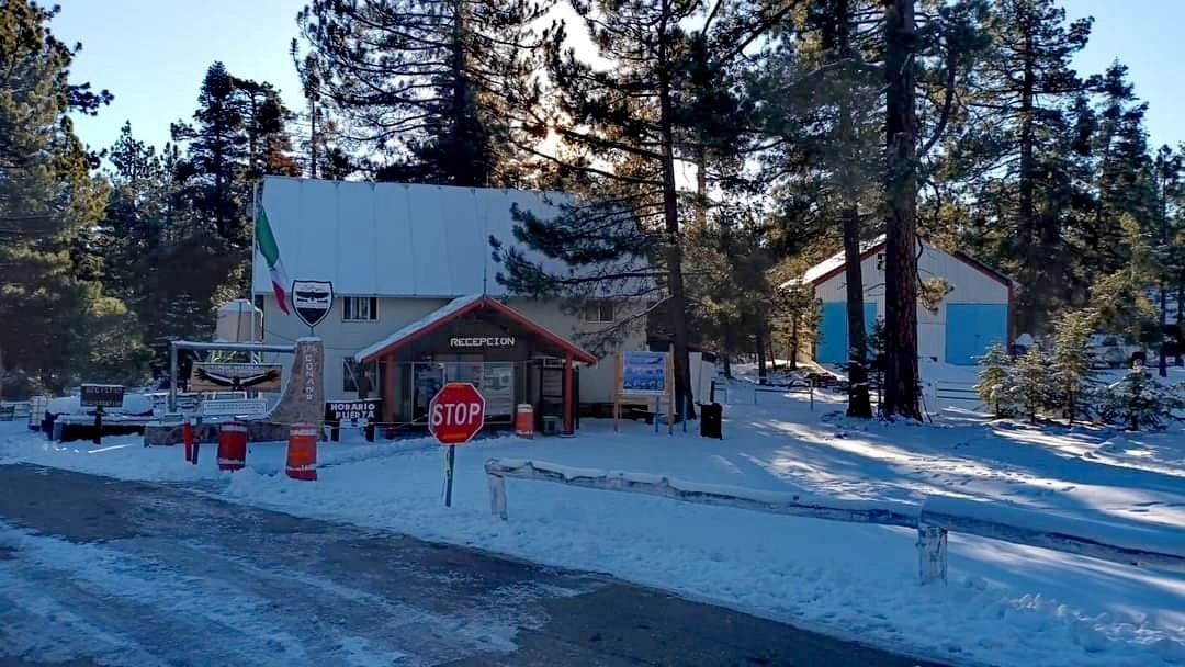 El Parque Nacional San Pedro Martir en BC registra temperaturas de -6 grados Celsius. Foto Tomada de https://www.facebook.com/SanPedroMartir/?locale=es_LA