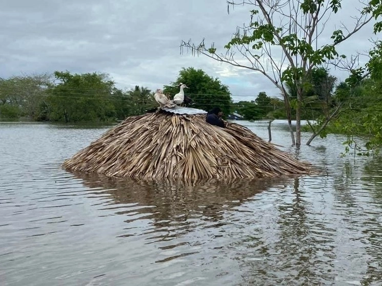 "Hay personas ahogadas, niños que se subieron a los árboles en espera de ser rescatados y decenas de familias en medio del agua" señaló el reporte. Foto cortesía SPC