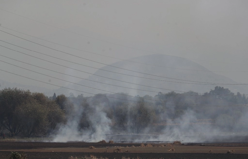 El incendio en un predio de 600 metros en el Vaso de Cristo, presuntamente fue provocado por un hombre. Foto Alfredo Domínguez
