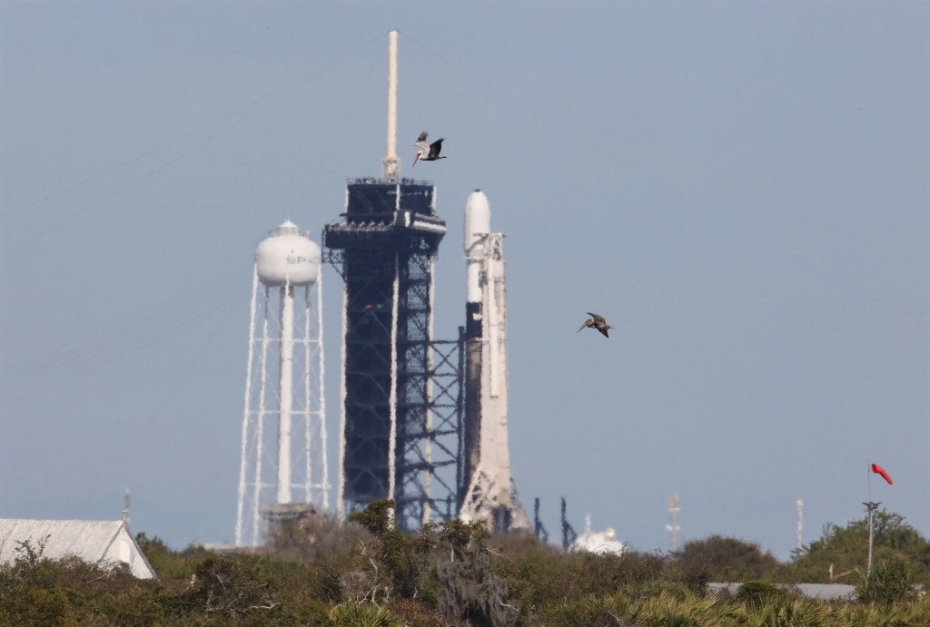 El módulo de aterrizaje Nova-C de Intuitive Machines, apodado Odysseus, permanece suspendido sobre el cohete Falcon 9 para una misión destinada a realizar el primer aterrizaje lunar de EU desde la última misión lunar Apolo hace medio siglo. Foto Afp