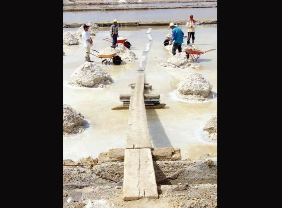 Asegurar que México tiene grandes reservas probadas de litio es prematuro, señaló Sergio Almazán, presidente de la Asociación de Ingenieros de Minas, Metalurgistas y Geólogos de México. Foto Alfredo Valadez / Archivo