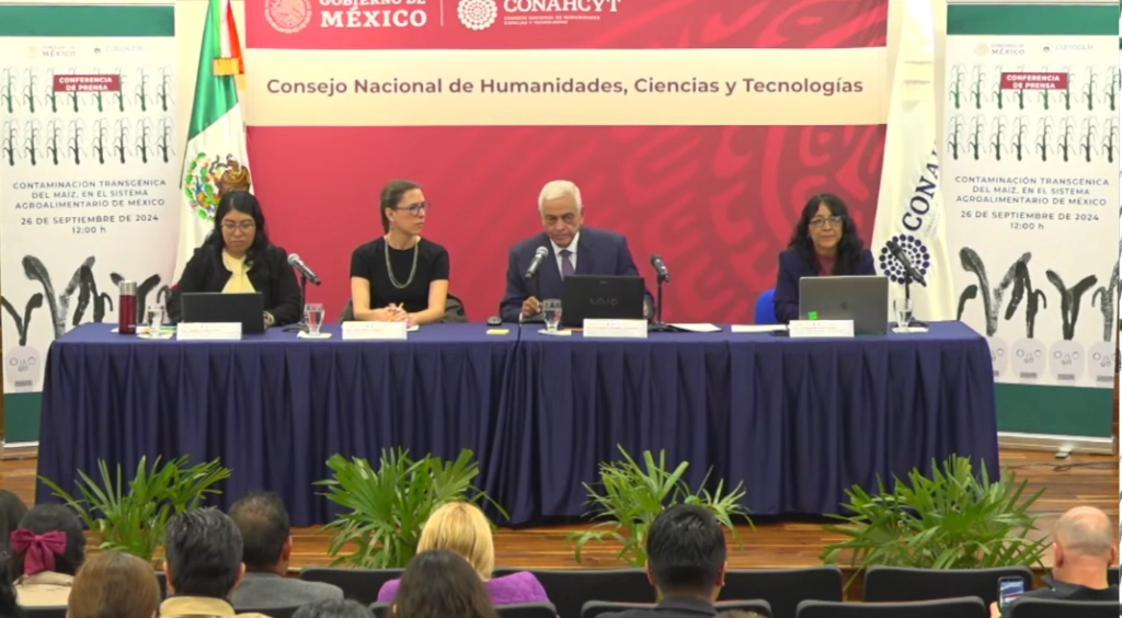 La zona centro es la que presenta mayor maíz contaminado con transgenes con 31 por ciento en el grano. Fotograma tomado de la transmisión en vivo de la conferencia de prensa