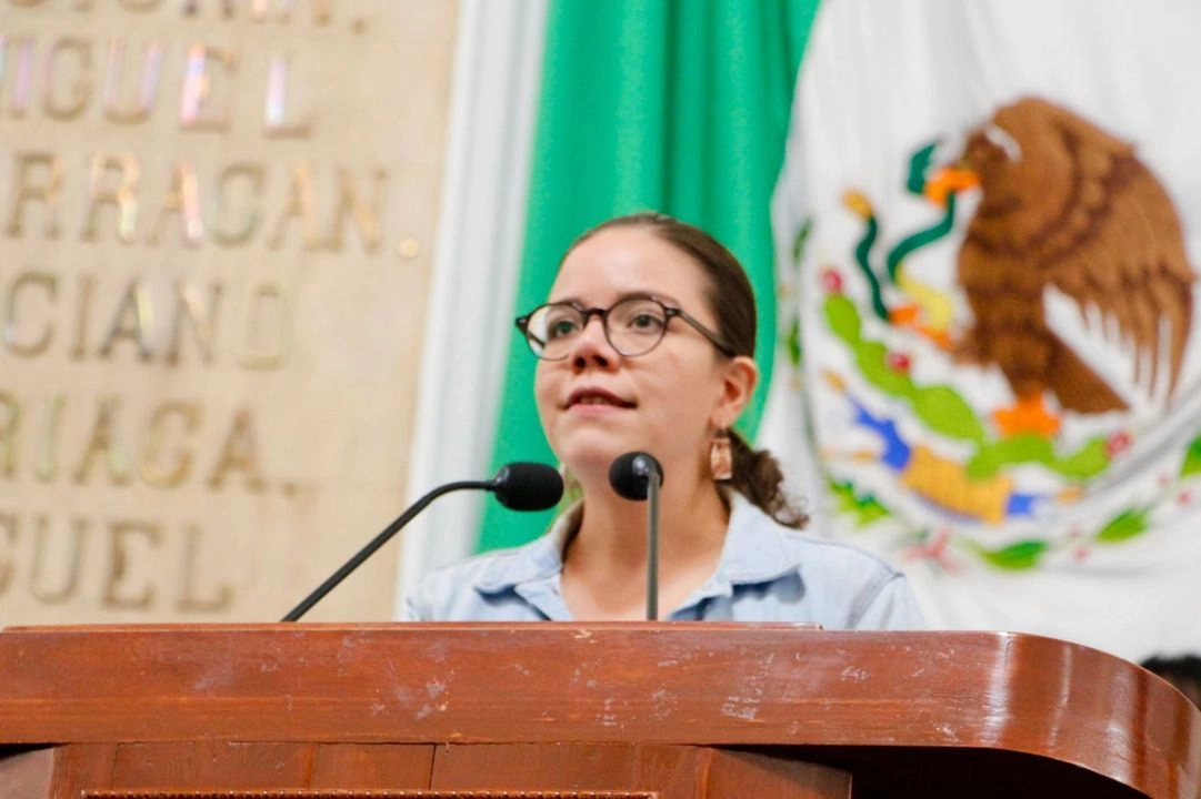 La diputada local por ese instituto político, Patricia Urriza, quien adelantó que su bancada prepara una propuesta de iniciativa, que aún cuando ya la habían presentado a la legislatura pasada volverán a presentar, con algunos ajustes.