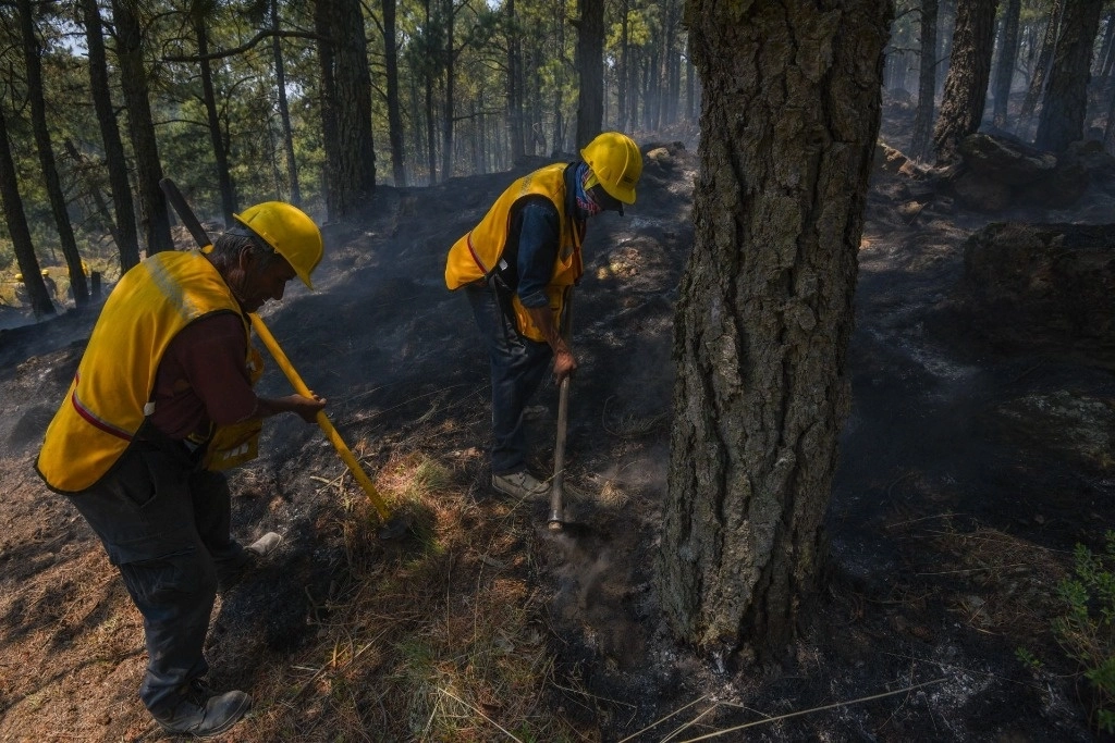 La CNPC alista un operativo con el despliegue de 14 mil bomberos ante próxima temporada de incendios forestales en el país. Foto Cuartoscuro