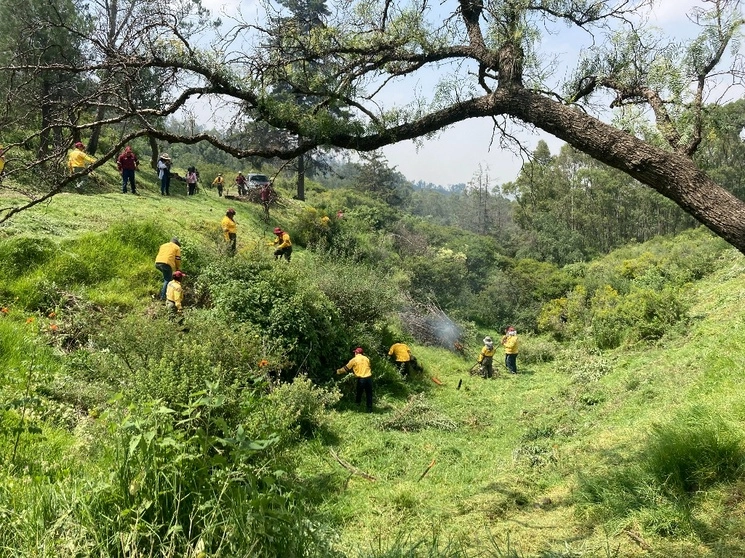 Más de 150 brigadistas de la Corenadr preparan parajes de la Sierra de Guadalupe, previo a la jornada masiva de reforestación, el 21 de septiembre de 2023. Foto Ángel Bolaños Sánchez