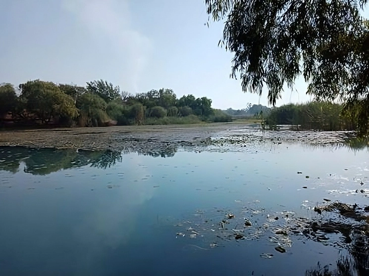 El  manantial de La Mintzita que abastece a la capital del estado del 50 por ciento de agua potable se encuentra al 50 por ciento de su capacidad. Foto Ernesto Martínez / Archivo