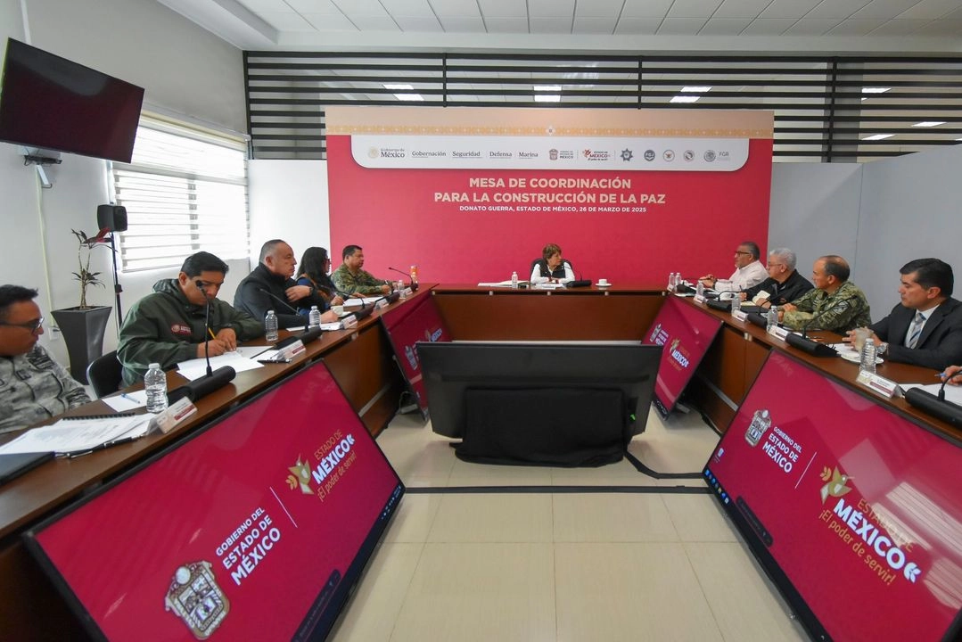 La amnistía se podía aplicar a primodelincuentes y a quienes no hayan cometido delitos graves, a indígenas, adultos mayores y a mujeres acusadas de aborto y a campesinos que hayan sido obligados a delinquir.