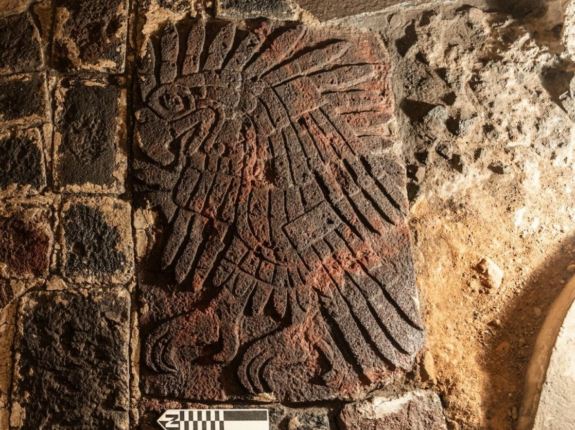 Bajorrelieve de águila real, antigua y lograda expresión escultórica mexica, encontrado por el PTM en 2019. Foto INAH vía Cuartoscuro