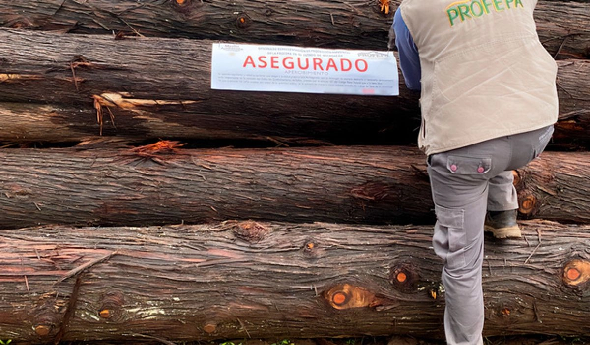 La FGR confirmó la recepción de las denuncias y dio inicio a la investigación correspondiente para deslindar responsabilidades. Foto 