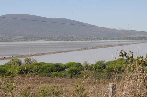 Aspecto de la parte poniente del lago Cuitzeo, en Michoacán, en imagen de archivo. Foto Pablo Pérez Chacón