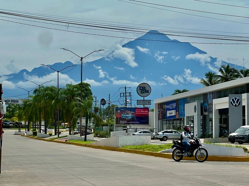 En Tapachula, Chiapas organizaciones civiles presentaron un proyecto para censar los árboles. Foto 