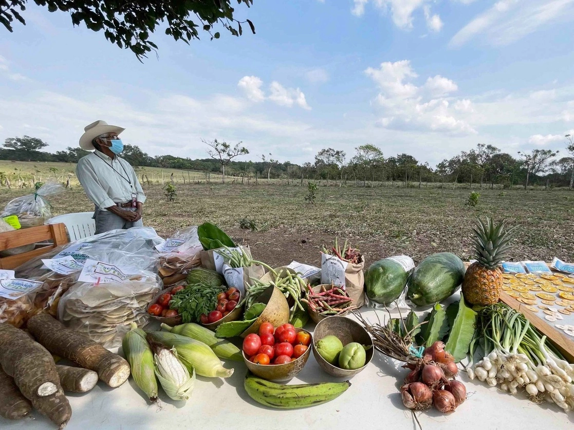 Un campesino beneficiado con el programa Sembrando Vida en el ejido Tierra y Libertad en Veracruz. Foto Cuartoscuro / Archivo