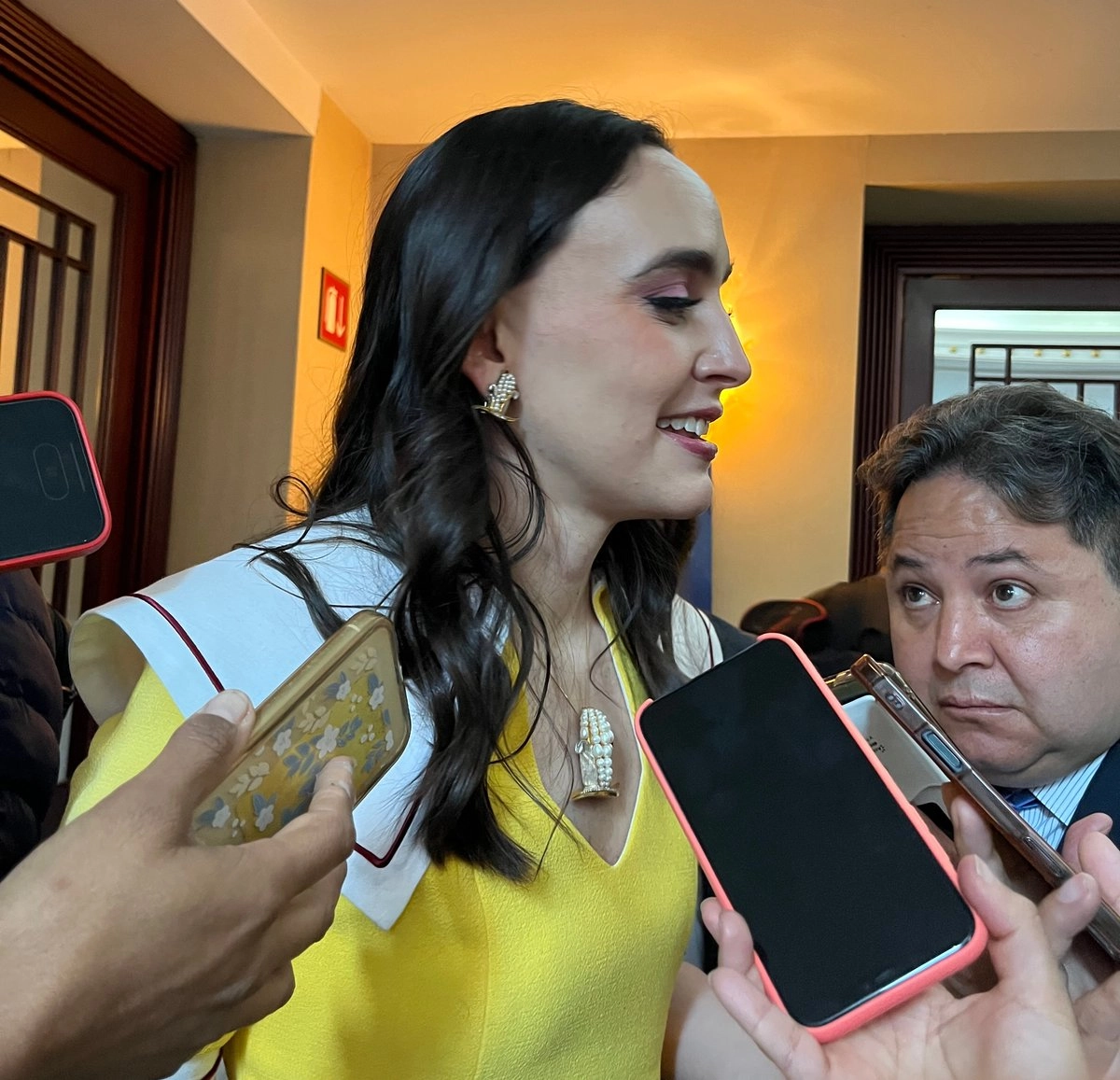 La coordinadora del Consejo Asesor de Desarrollo Económico Regional y Relocalización de Empresas, Altagracia Gómez Sierra. Foto