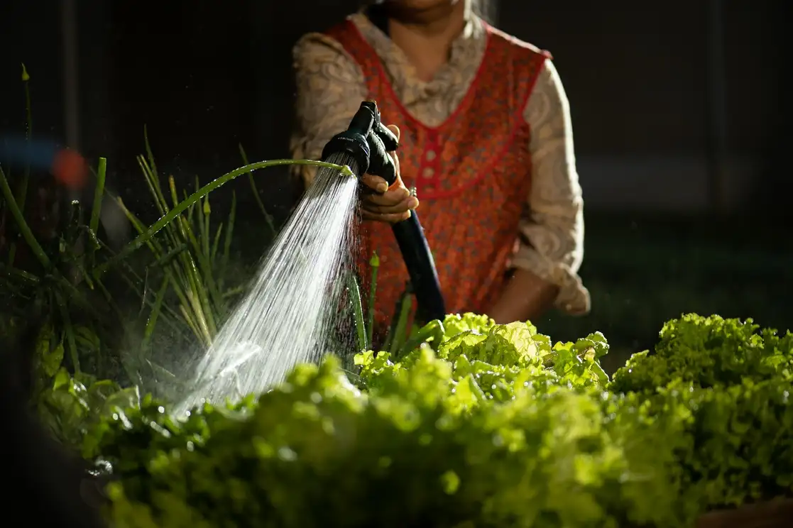 Preservar el agua para que llegue a todas y todos