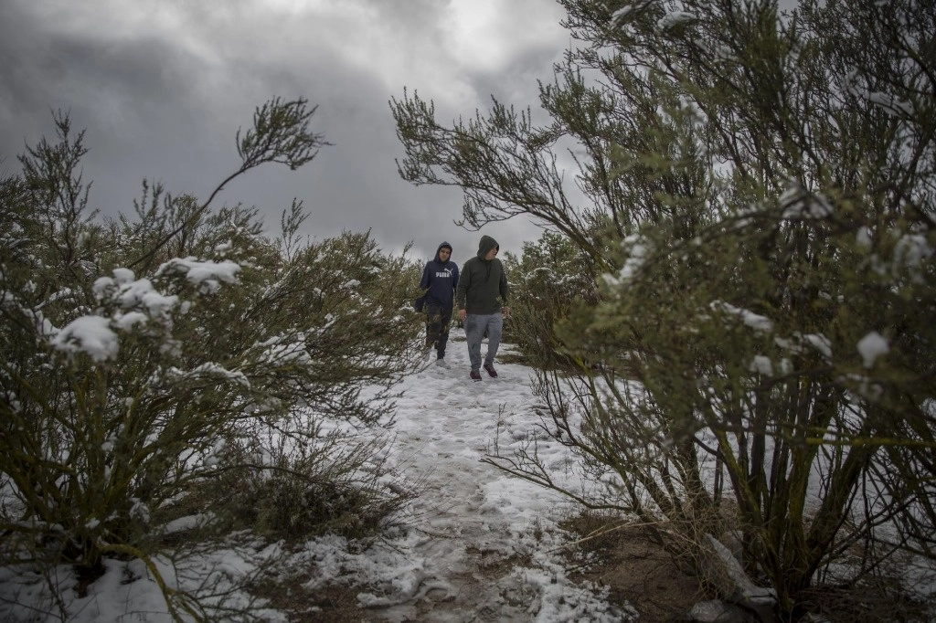 Se pronostican temperaturas bajo cero en la Sierra de Juárez de Baja California. Foto Cuartoscuro / Archivo