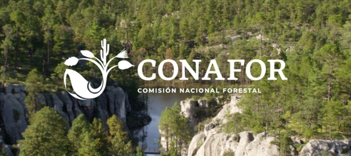 En los próximos días se prevé la salida de la Comisión Nacional Forestal (Conafor) de León Jorge Castaños, ingeniero agrónomo especialista en bosques, quien se encargó de la pasada temporada critica de incendios forestales. Imagen tomada del sitio https://www.gob.mx/conafor / Archivo