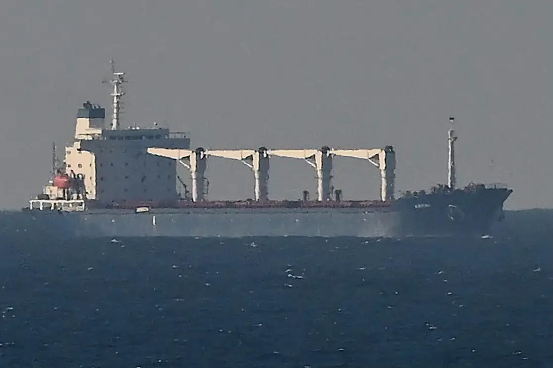 El primer cargamento autorizado de cereales ucranios desde el inicio de la guerra el 24 de febrero llegó el martes 2 de agosto por la noche a la costa norte de Estambul, en el Mar Negro. Foto Afp 