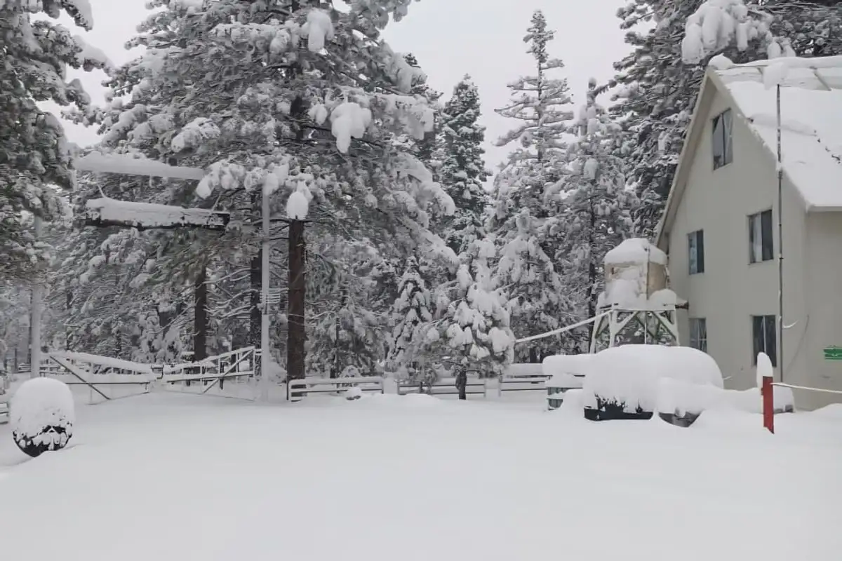 La primera tormenta invernal, en interacción con los frentes fríos 15 y 16, causó una nevada en ese municipio que cubrió vehículos y árboles. Se registró una acumulación de 40 centímetros de nieve que obligó al cierre de la carretera de Ensenada hacia esta zona turística. Foto 