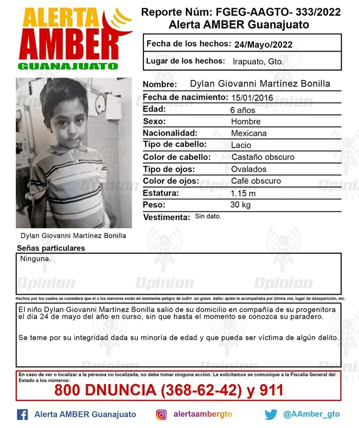 Ficha de búsqueda del menor.