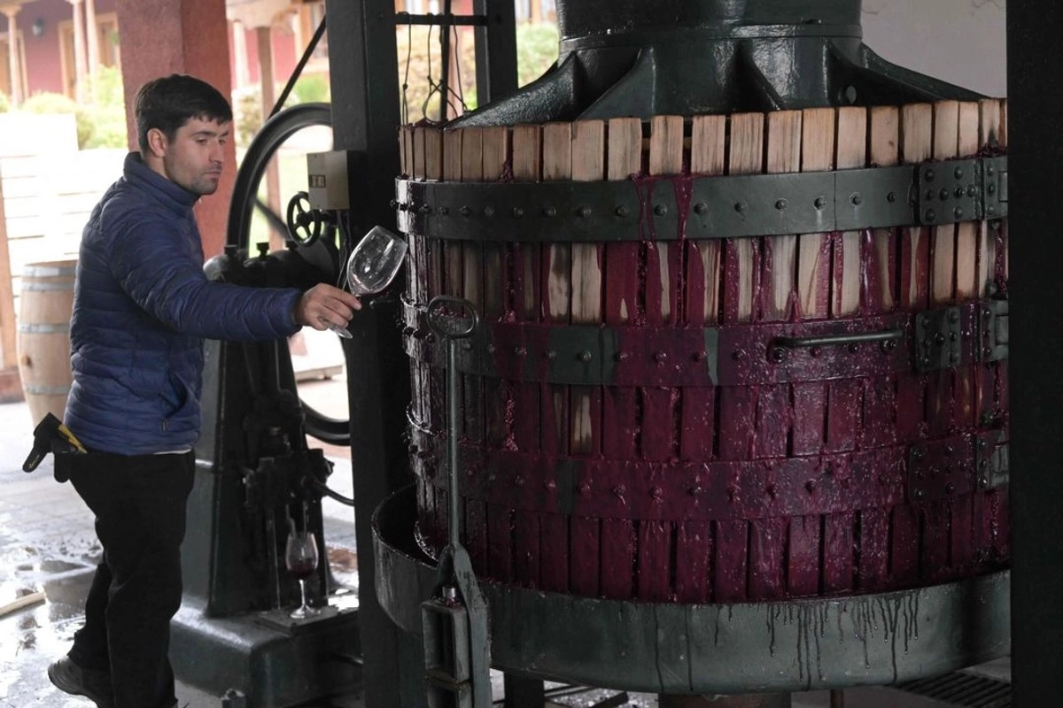 La OIV cifró la producción mundial de vino en 232 millones de hectolitros (mhl) este año. Foto 