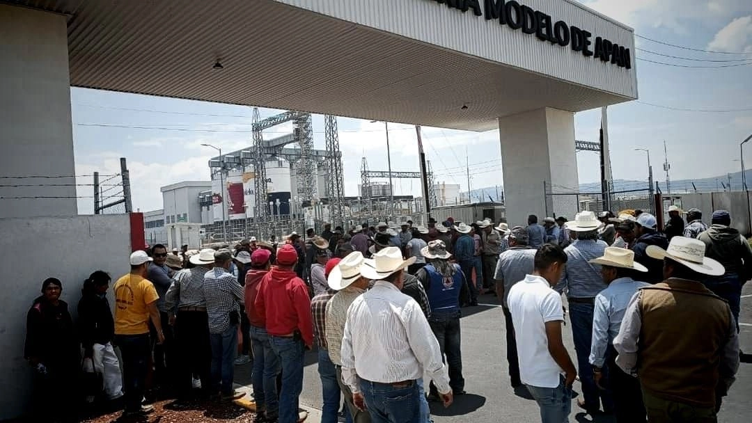 Esas familias de productores son del altiplano hidalguense, y de otras entidades como Puebla, Estado de México y Tlaxcala. Foto 