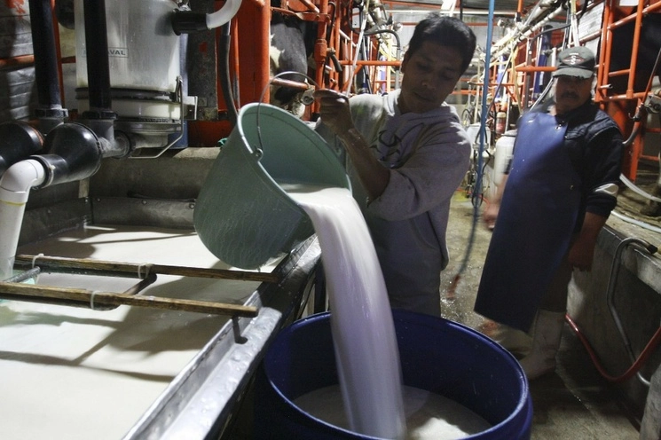 Productores de leche en Chipilo, Puebla. Foto Cuartoscuro / Archivo