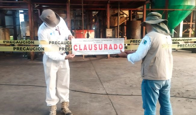 Inspectores de la Profepa colocaron sellos de clausura en el predio. Foto 
