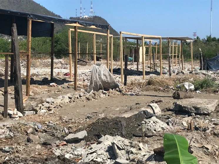 La Profepa registró invasión y daño en zona de manglar por familias paracaidistas en Manzanillo, Colima. Foto Profepa