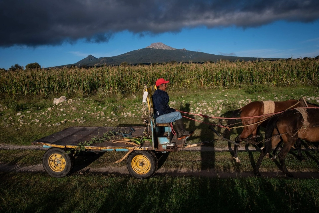 El decreto está encaminado a salvaguardar la salud de las personas, tener un medio ambiente sano y lograr la seguridad y autosuficiencia alimentaria, resaltó. Foto Cuartoscuro / Archivo 