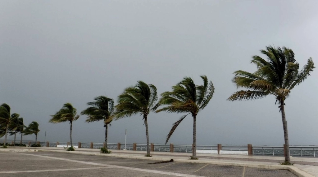 En Cancún, Quintana Roo. Foto Cuartoscuro / Archivo
