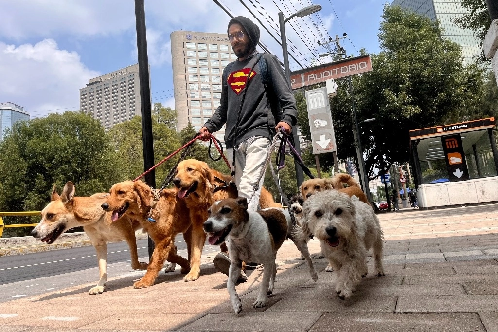 Paseo de perros en imagen de archivo. Foto Luis Castillo