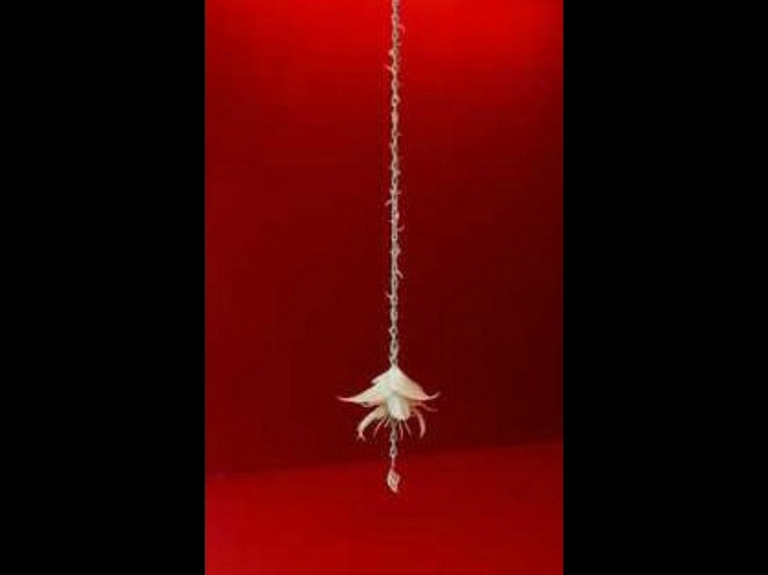 ‘Doppelganger’ (flor blanca de cera) 2020, cadena de hierro, micro-parafina blanca, latón y plata, es la pieza del colectivo ASMA que se integra la muestra ‘Otrxs mundxs’. Foto cortesía de los artistas y de la galería Peana