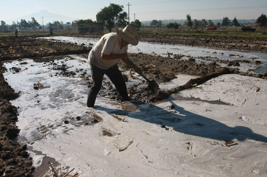 
<br>Iniciativa para gravar ejidos en Oaxaca es privatizadora: dirigente campesino