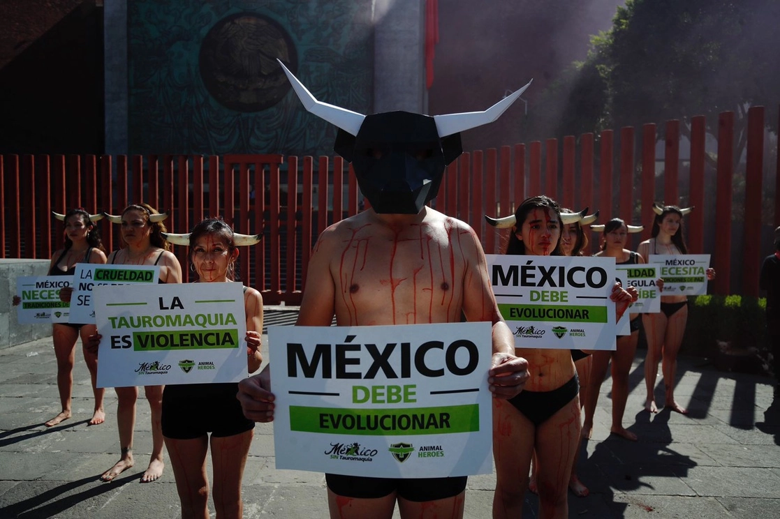 Activistas en ropa interior y sangre falsa se manifiestan frente a la Cámara de Diputados en contra de las corridas de toros; piden a los legisladores que se dictamine la iniciativa que presentaron y que se encuentra en la Comisión de Medio Ambiente. Foto Cristina Rodríguez
