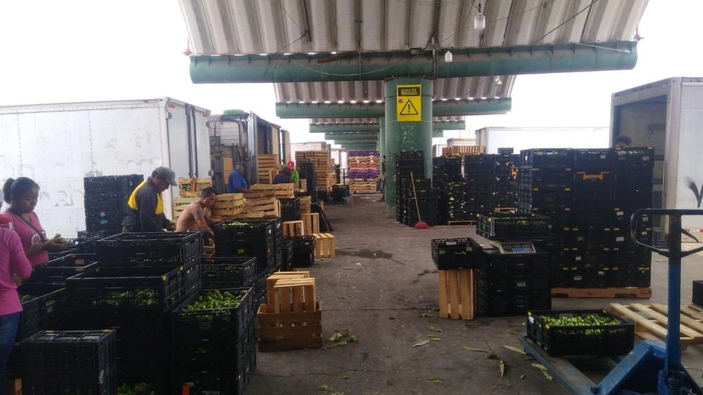 Aspectos del Mercado de Subastas de la Central de Abasto. Foto cortesía de los comerciantes de la  Central de Abasto de la Ciudad de México