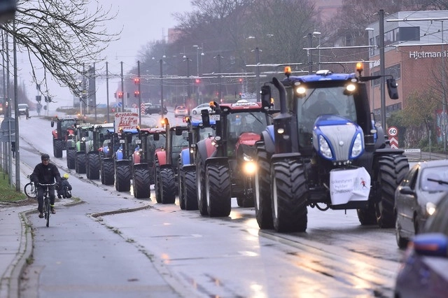 Cientos de agricultores y criadores daneses de visones se manifestaron en Copenhague en tractores contra el sacrificio masivo de estos animales. Foto Ap 